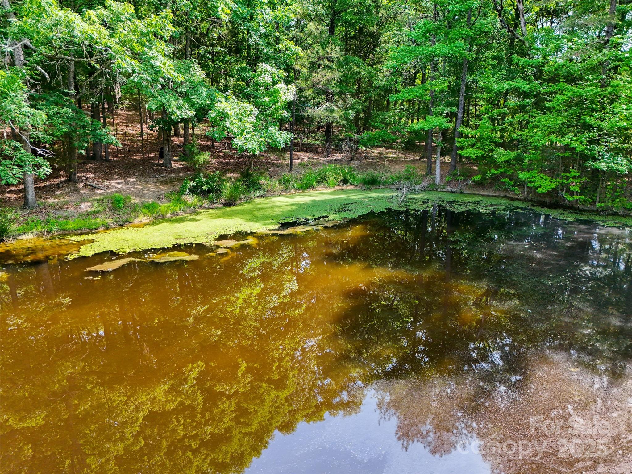 475 McManus Road Pageland, SC 29728 - Photo 8 of 17 Gallery Image 8