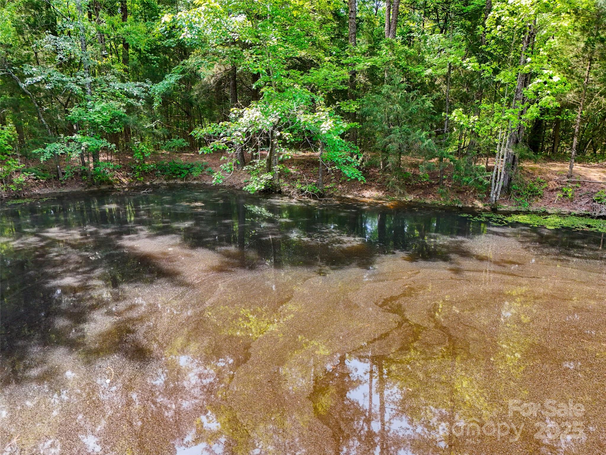 475 McManus Road Pageland, SC 29728 - Photo 9 of 17 Gallery Image 9