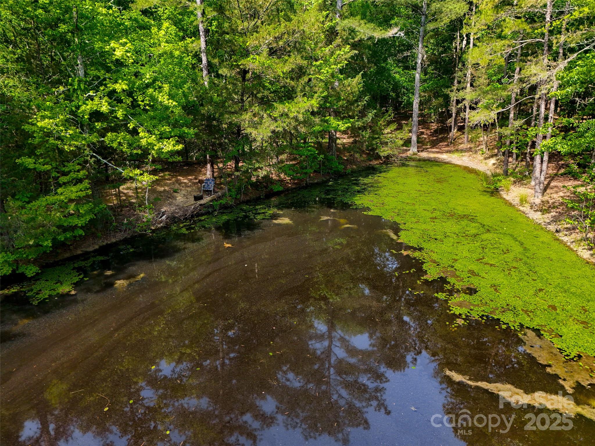 475 McManus Road Pageland, SC 29728 - Photo 10 of 17 Gallery Image 10