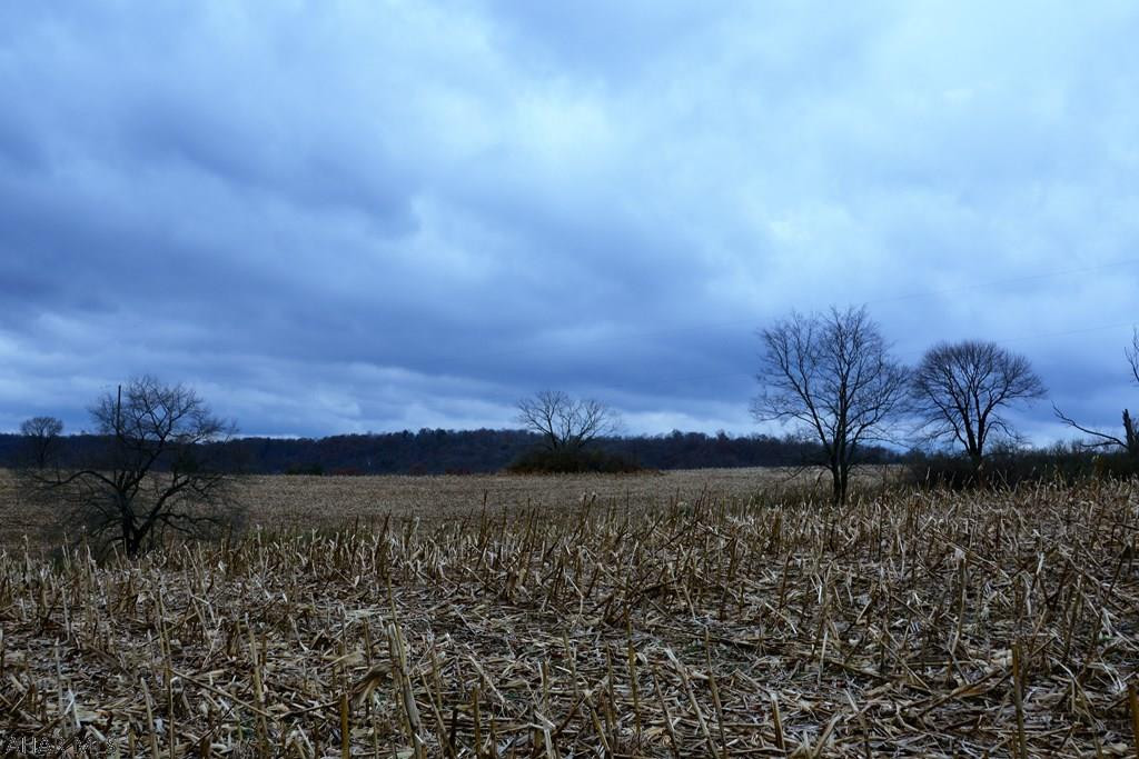 0 Allen Road Clearville, PA 15535 - Photo 12 of 22