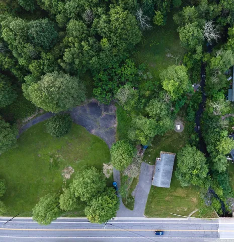 a view of a yard with plants