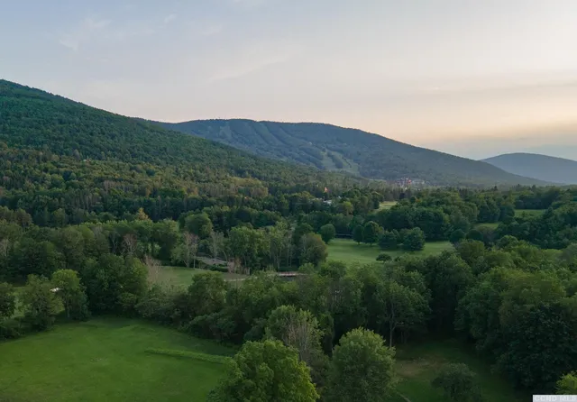 a view of a lush green hillside and a mountain view