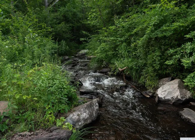 a view of a large yard with lots of green space and trees all around