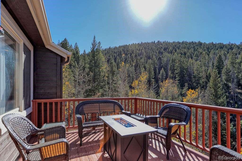 10197 Crest View Drive Morrison, CO 80465 - Photo 45 of 49