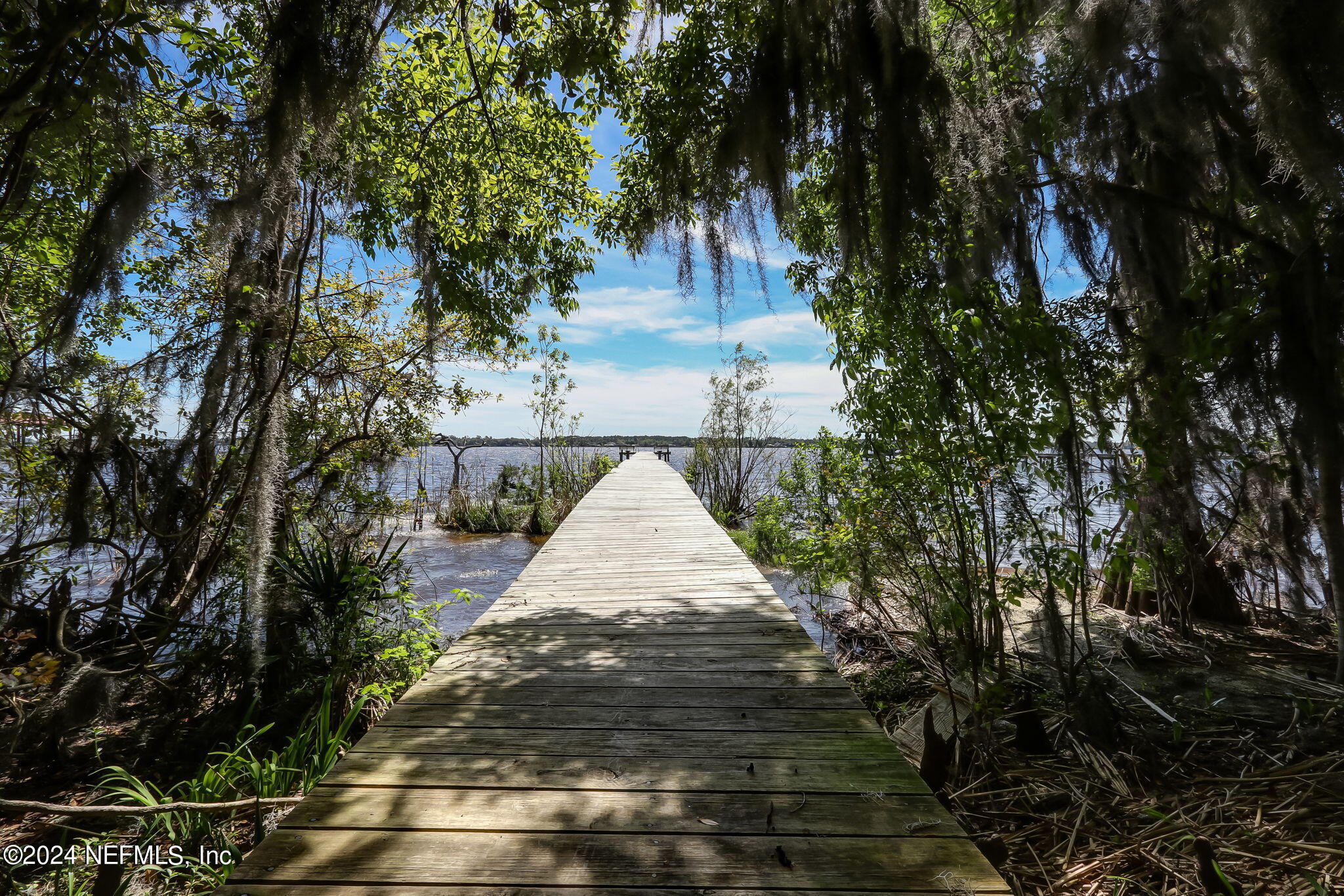 3516 Lawrence Road Orange Park, FL 32073 - Photo 45 of 55 45-web-or-mls-60_3516 Lawrence Rd