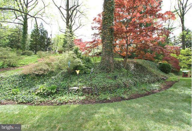 1200 Poplar Hill Road Baltimore, MD 21210 - Photo 17 of 18 a view of a lush green forest