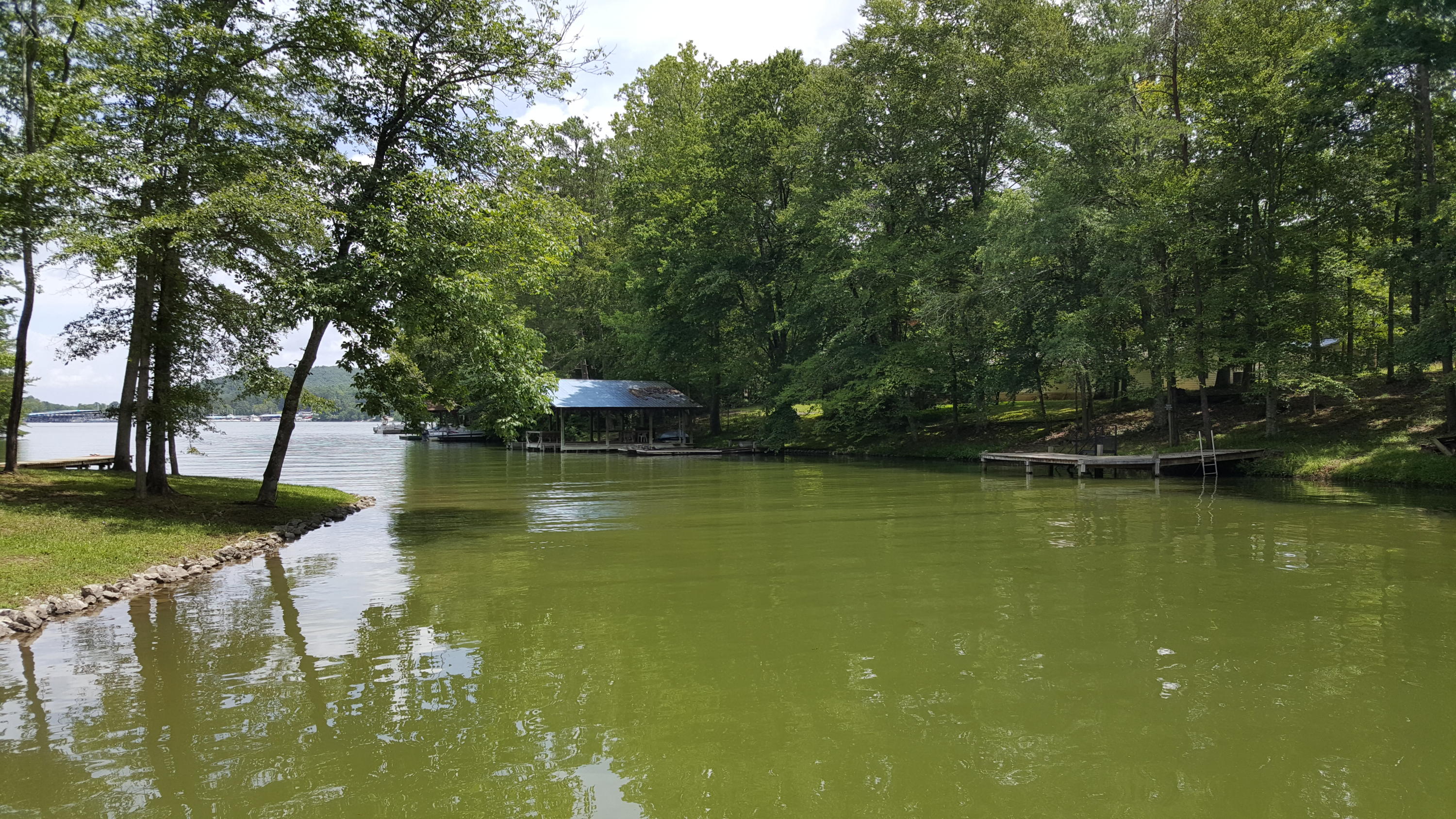 Lot 109 Treasure Tree Road Ten Mile, TN 37880 - Photo 1 of 3 Land 3 waterview