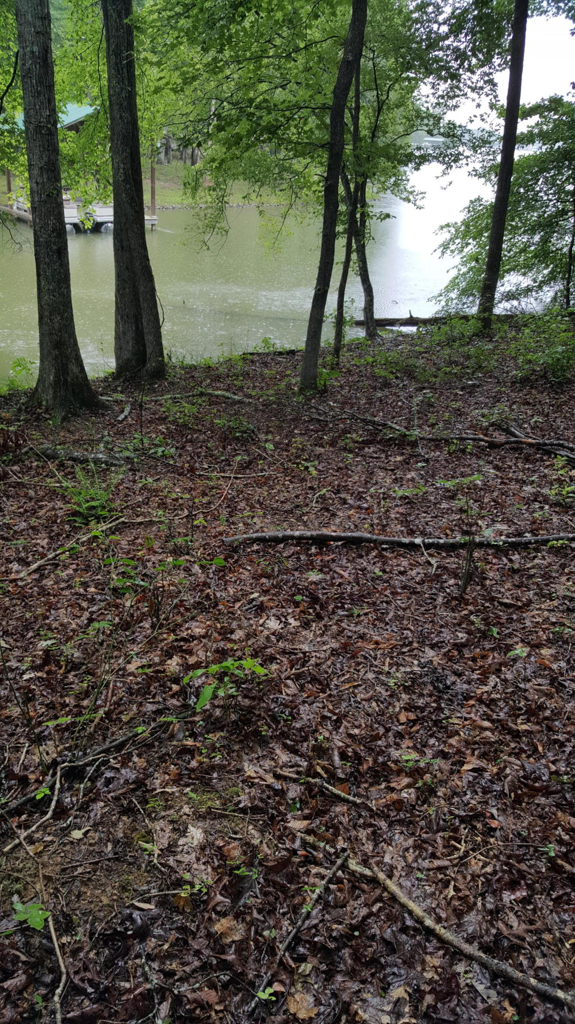 Lot 109 Treasure Tree Road Ten Mile, TN 37880 - Photo 3 of 3 Lot 110