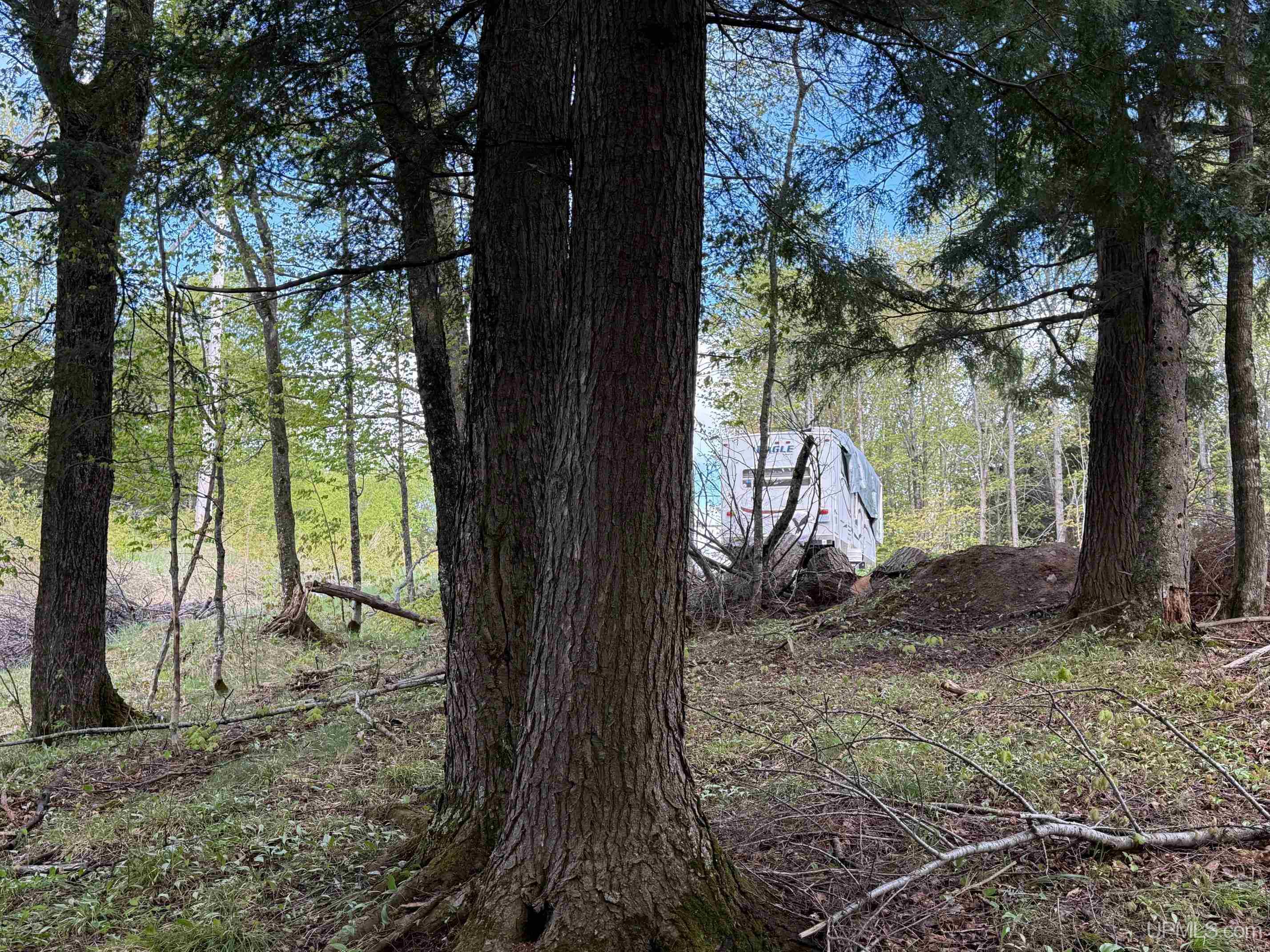 Tbd10 Baraga Plains Road Lanse, MI 49946 - Photo 13 of 19