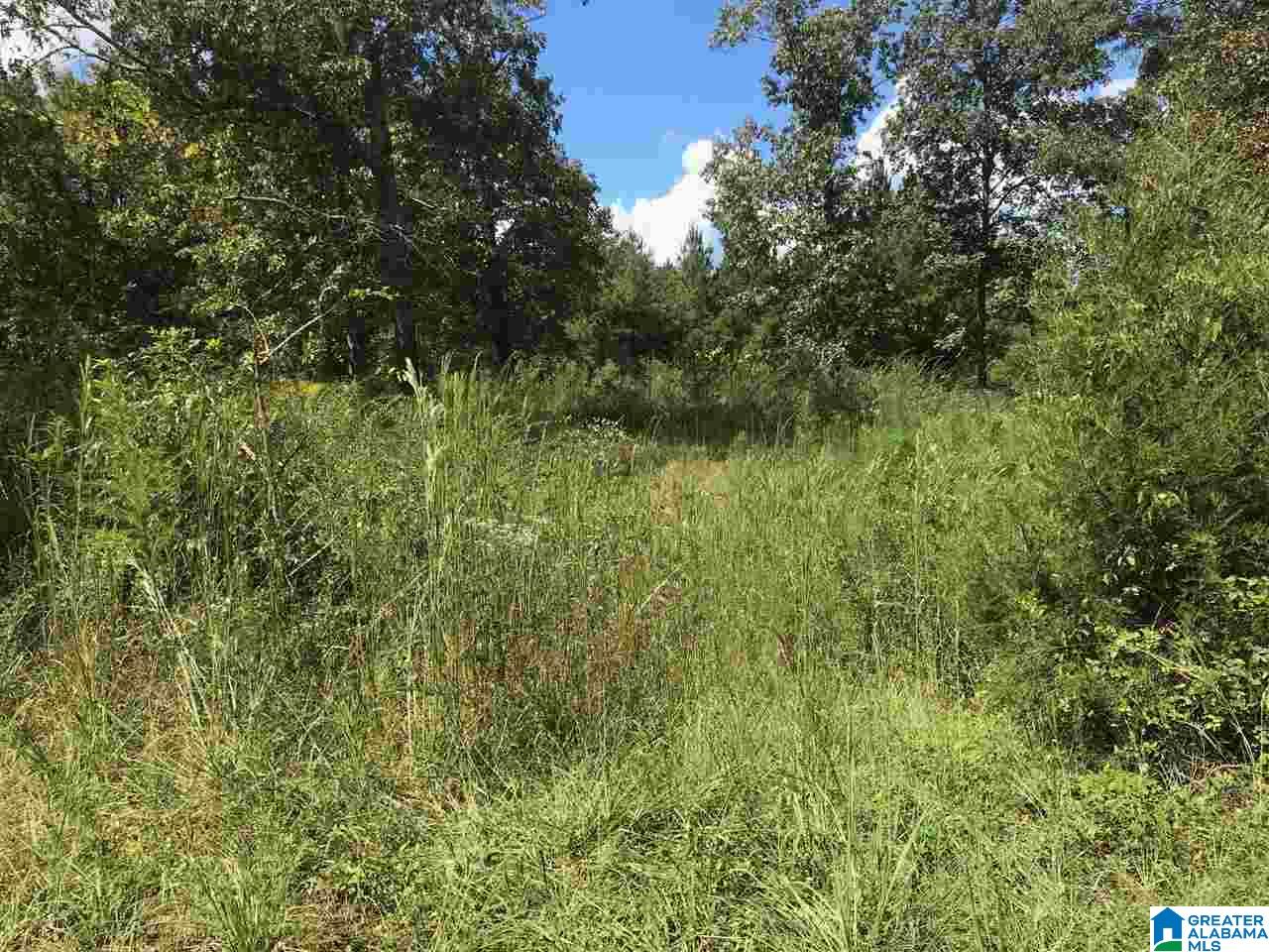 301 Wanda Way, Unit 1 Brierfield, AL 35035 - Photo 6 of 9