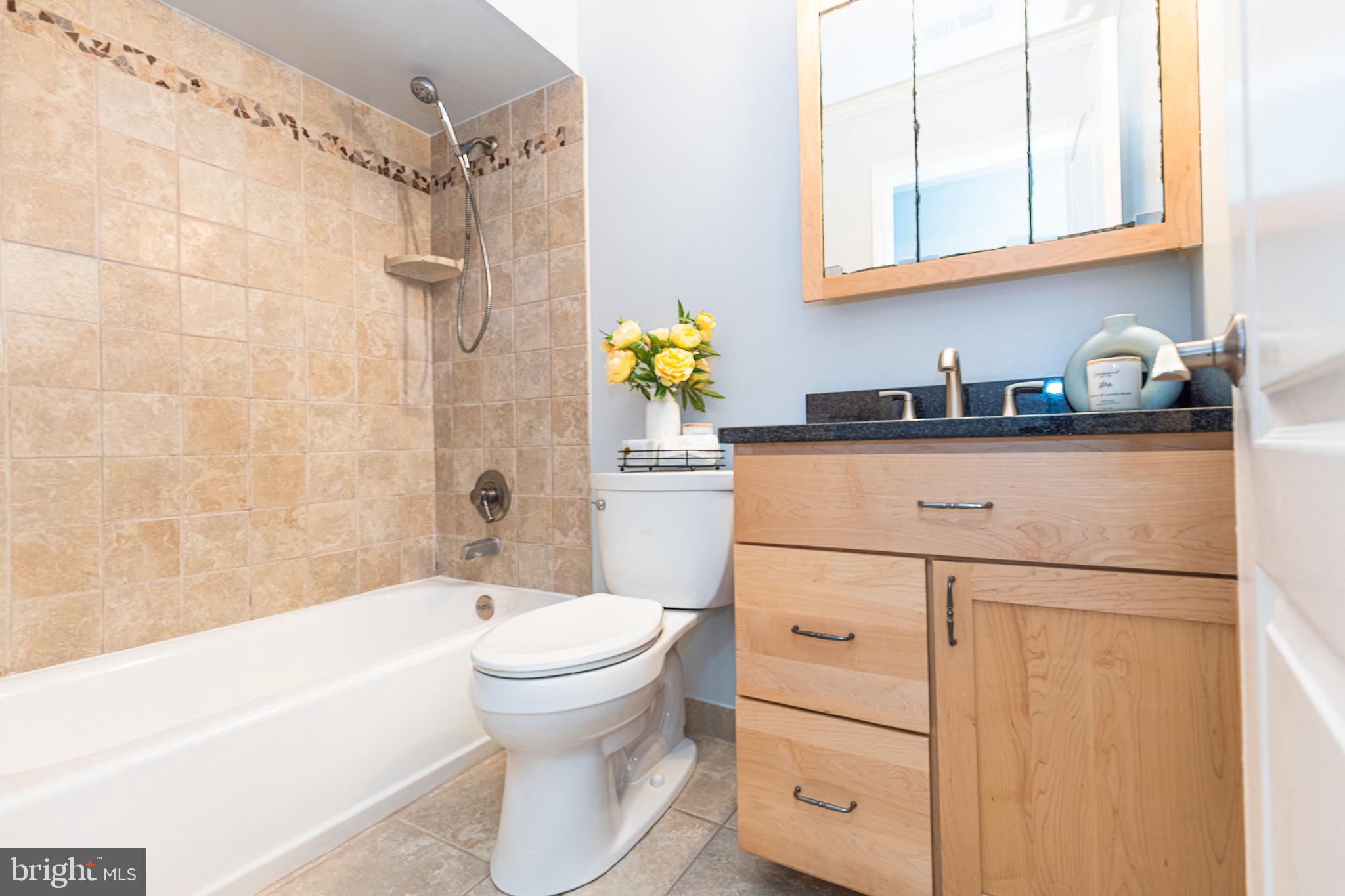8347 Montgomery Run Road, Unit B Ellicott City, MD 21043 - Photo 17 of 39 a bathroom with a sink a toilet and shower