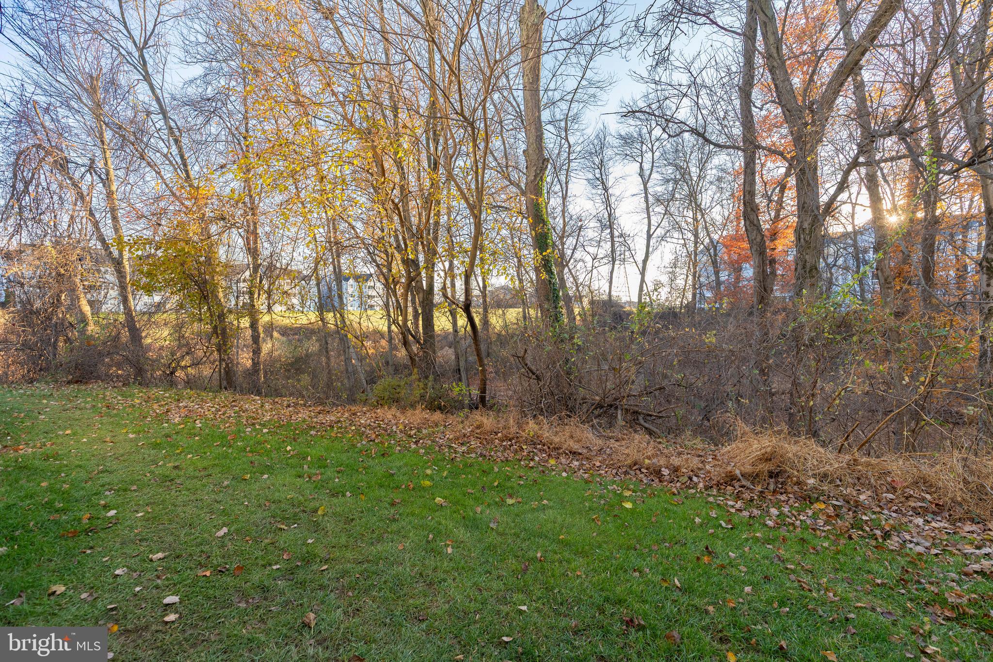 8347 Montgomery Run Road, Unit B Ellicott City, MD 21043 - Photo 32 of 39 a view of a large yard with lots of green space