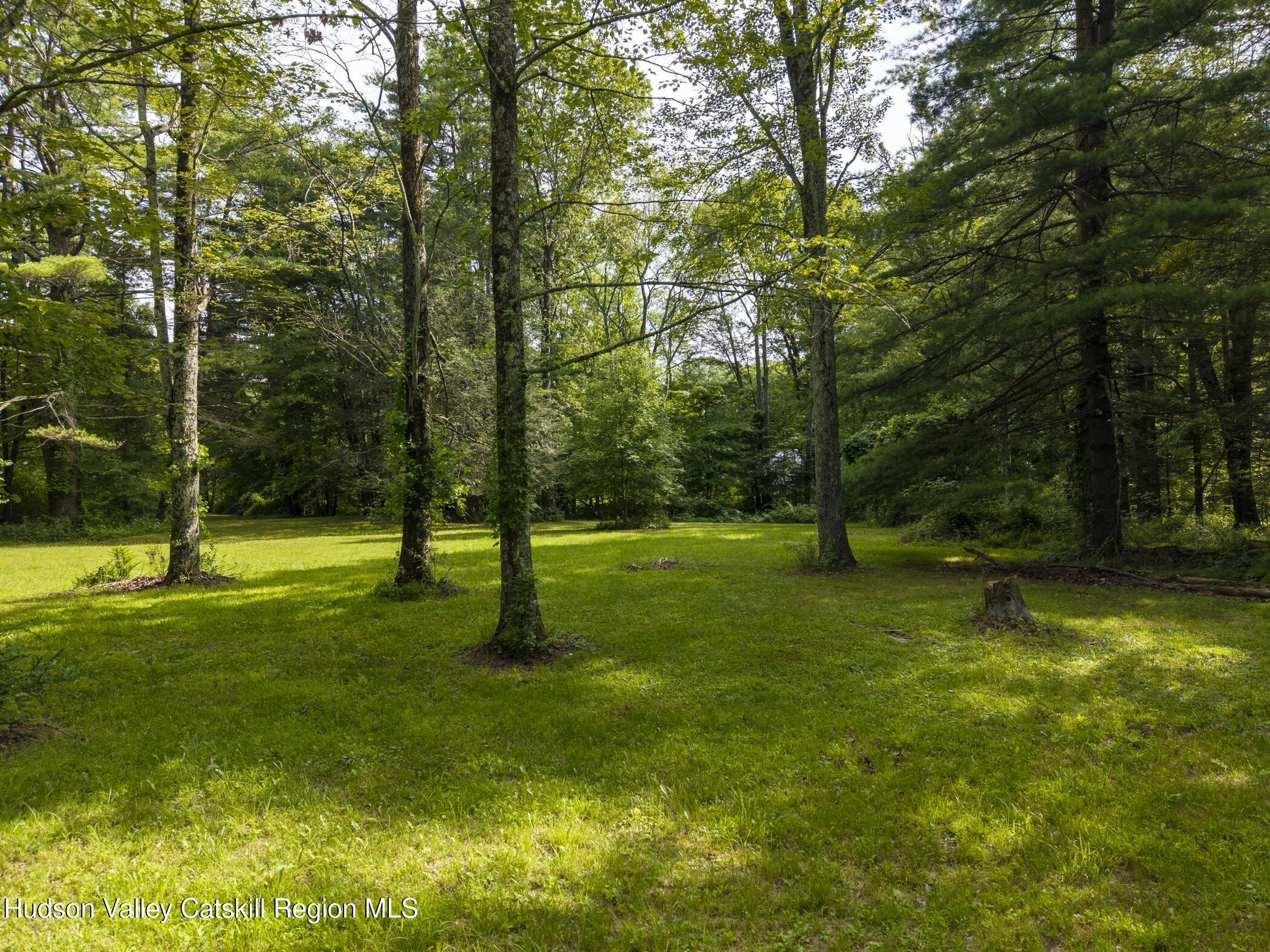 Tbd Bostock Road Shokan, NY 12481 - Photo 18 of 20 a view of a yard with a large trees