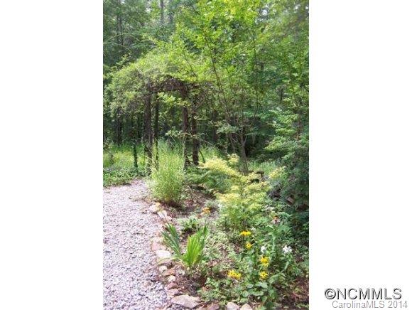 715 Pleasant Hill Road Landrum, SC 29356 - Photo 18 of 22 a picture of a yard with a plants