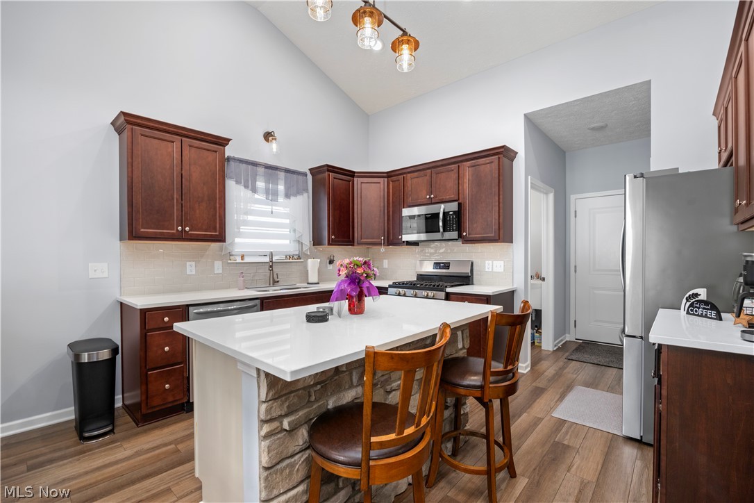 109 West Spring Drive Elyria, OH 44035 - Photo 23 of 46 Kitchen featuring a vaulted ceiling and wood-finish flooring