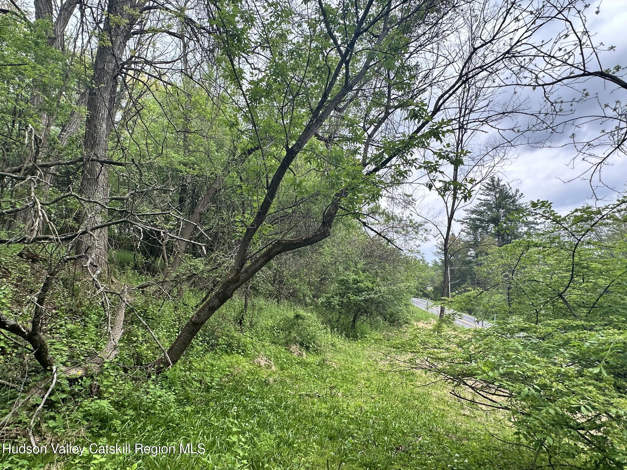 1033 Co Rte 8 Germantown, NY 12526 - Photo 5 of 14 a backyard of a house with lots of green space