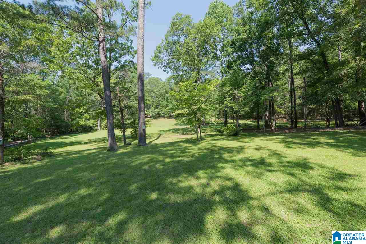 35 Valley View Drive Pelham, AL 35124 - Photo 46 of 48