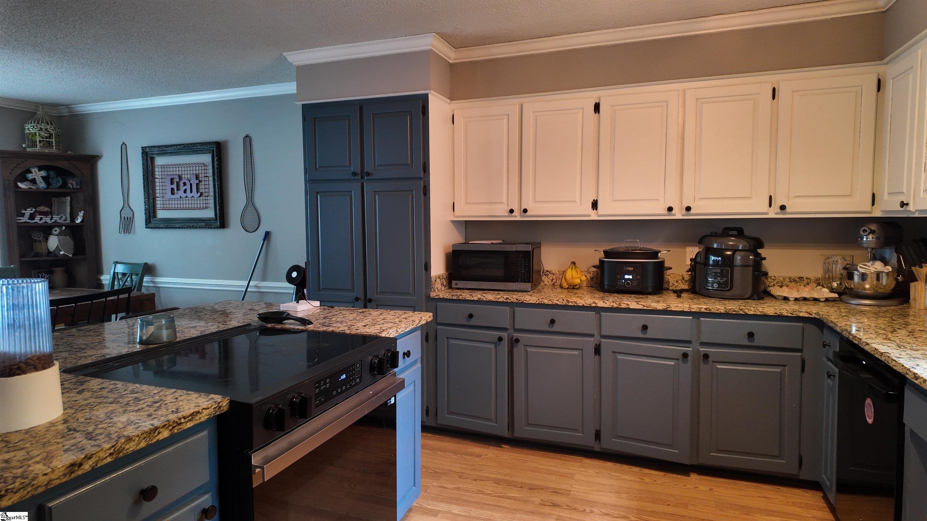 166 Chestnut Lake Drive Inman, SC 29349 - Photo 5 of 9 Gallery Image 5
