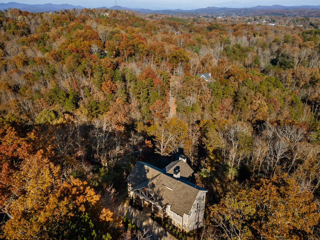 180 Mountain Tops Circle Blue Ridge, GA 30513 - Photo 46 of 47