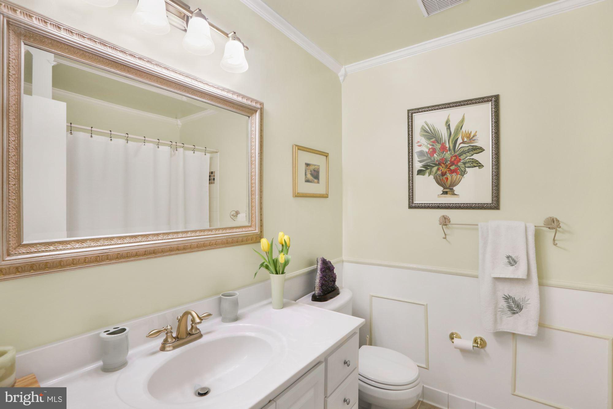 10613 Pineview Road Manassas, VA 20111 - Photo 20 of 51 Hall bath on main level