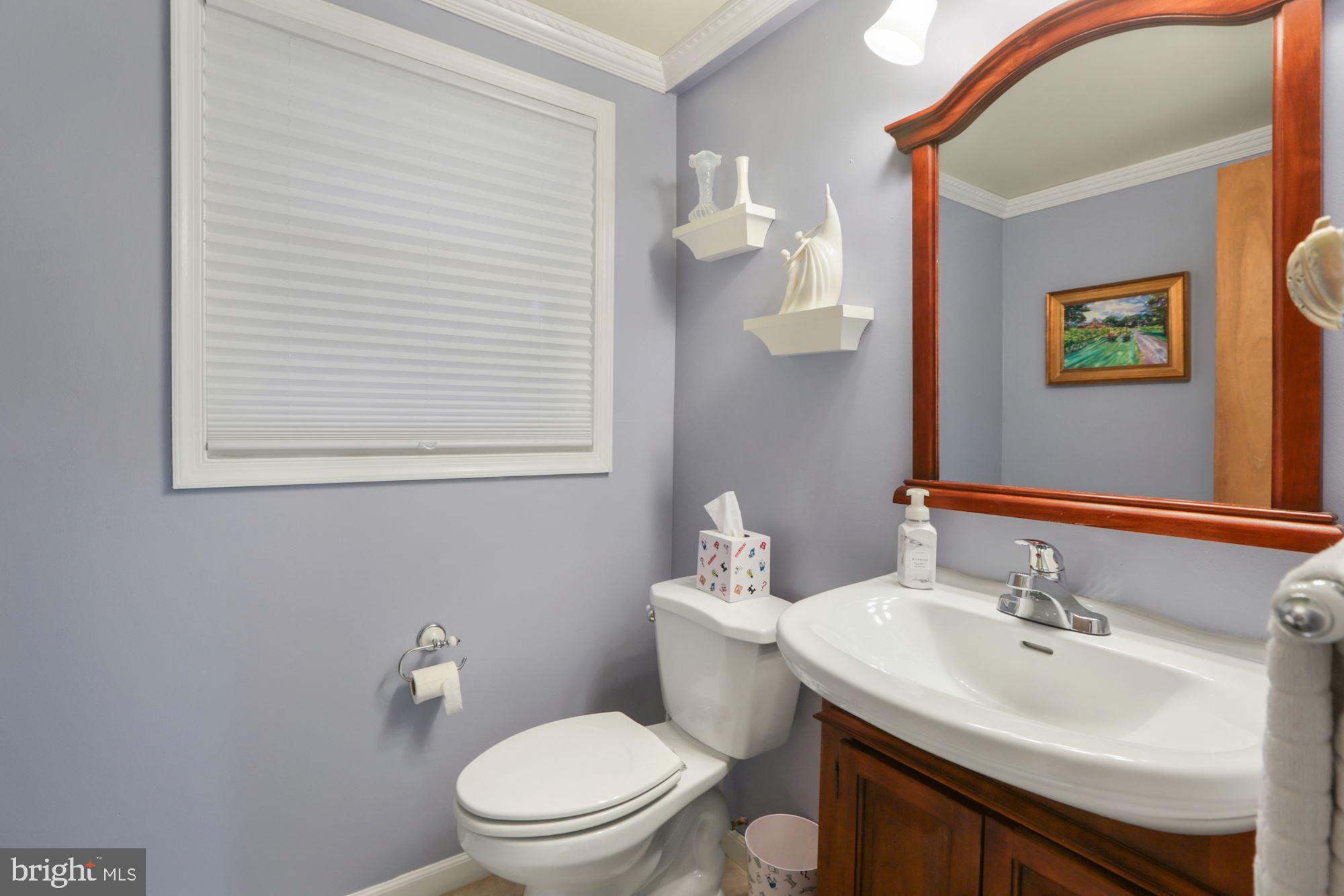 10613 Pineview Road Manassas, VA 20111 - Photo 28 of 51 Powder Room on lower level