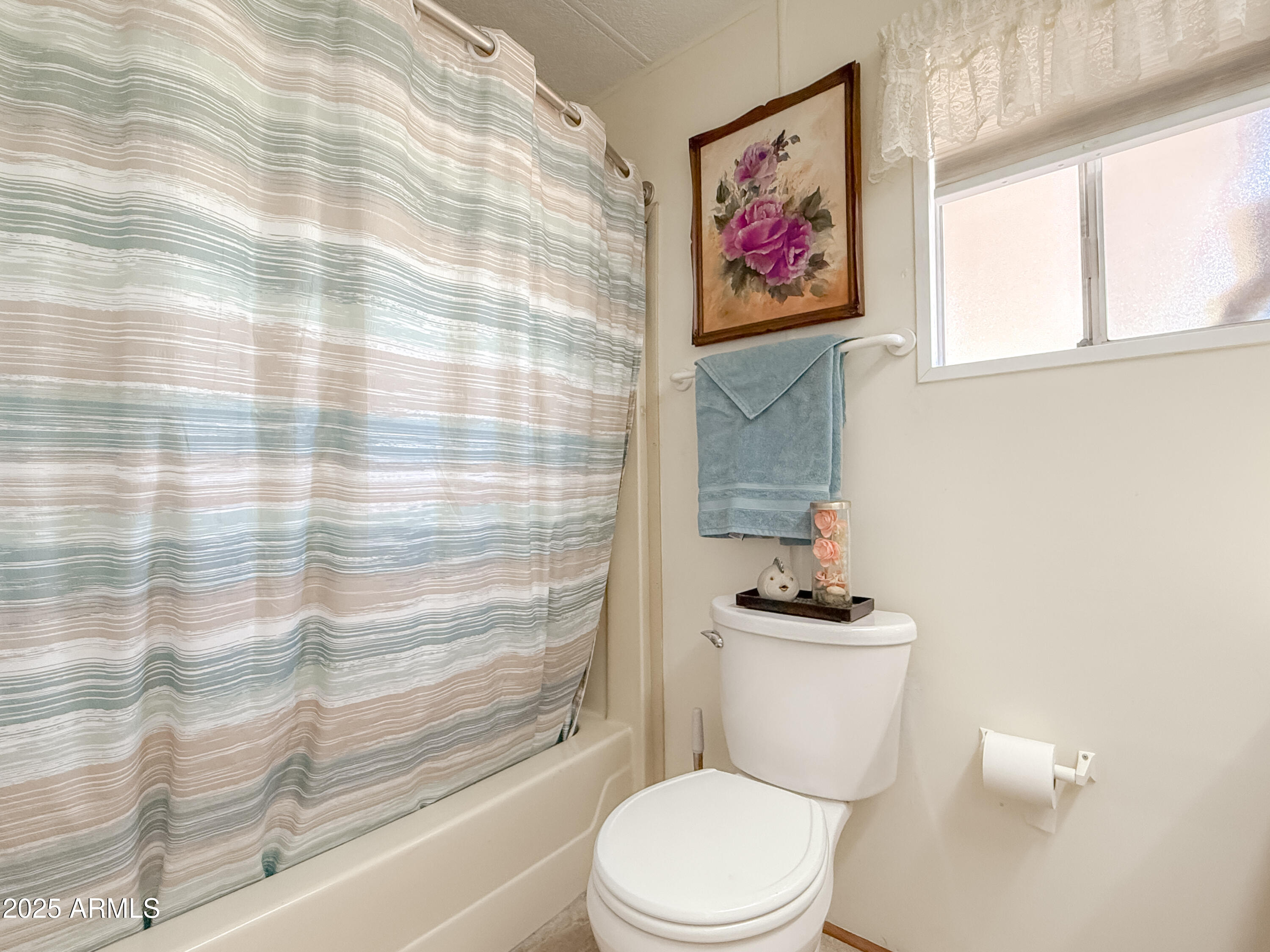661 North Hawes Road, Unit 34 Mesa, AZ 85208 - Photo 12 of 19 Shower/Tub