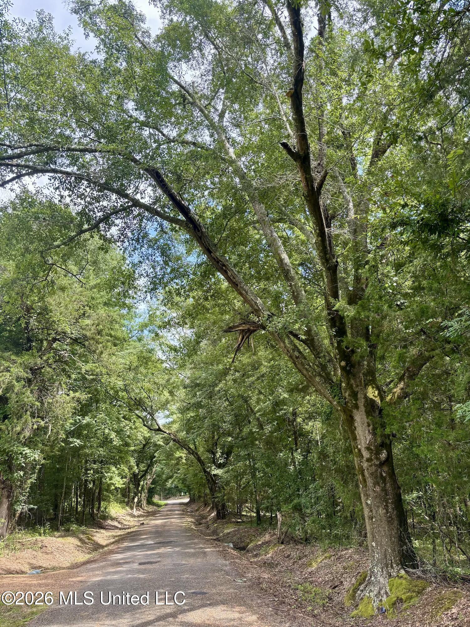 11616 Wildwood Road Vaughan, MS 39179 - Photo 22 of 27 IMG_5034
