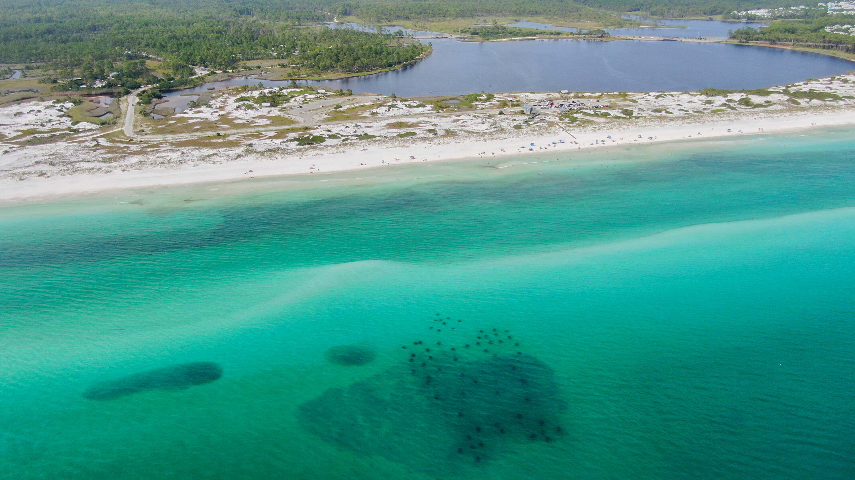 50 Jessica Court Freeport, FL 32439 - Photo 43 of 52 a view of a yard with an empty space