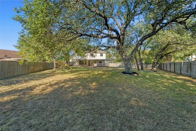 a view of a garden with a tree