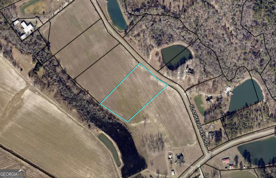 0 Blankenbaker Road, Unit PARCEL 2 Statesboro, GA 30458 - Photo 5 of 5