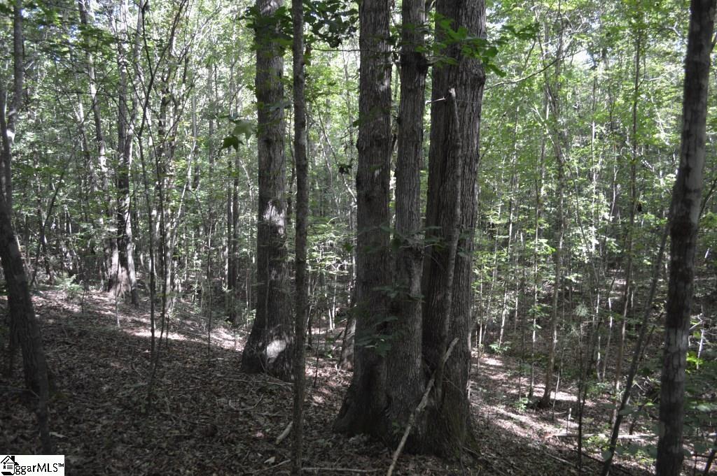 0 Donald Road Spartanburg, SC 29307 - Photo 20 of 25 Gallery Image 20