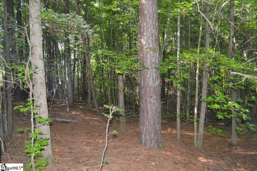 0 Donald Road Spartanburg, SC 29307 - Photo 3 of 25 Gallery Image 3