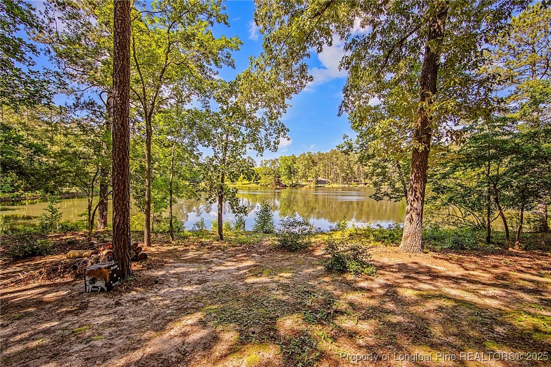 329 Silver Grove Church Road Rockingham, NC 28379 - Photo 36 of 36 a view of yard with trees