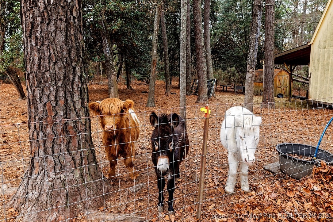 329 Silver Grove Church Road Rockingham, NC 28379 - Photo 6 of 36 a view of outdoor space