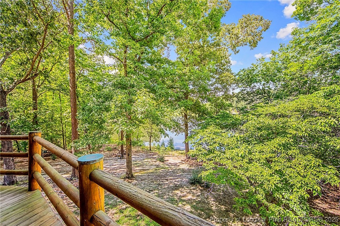 329 Silver Grove Church Road Rockingham, NC 28379 - Photo 7 of 36 a view of a forest with two trees