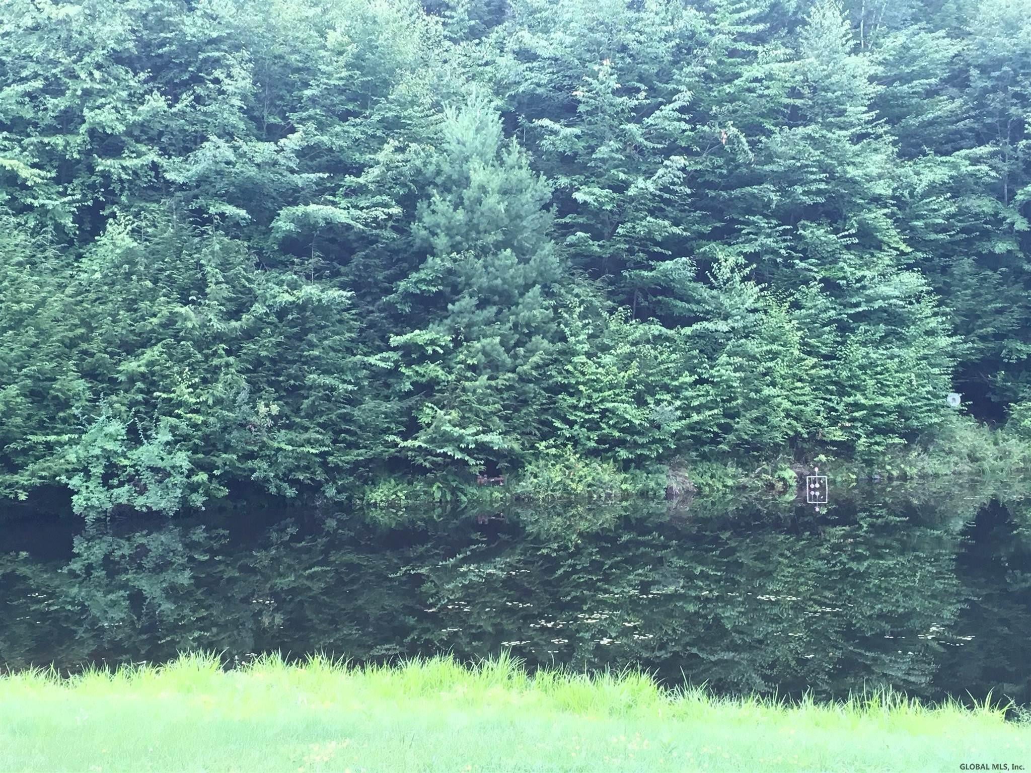 1966 Ridge Road Fort Ann, NY 12827 - Photo 60 of 61 Photo 61