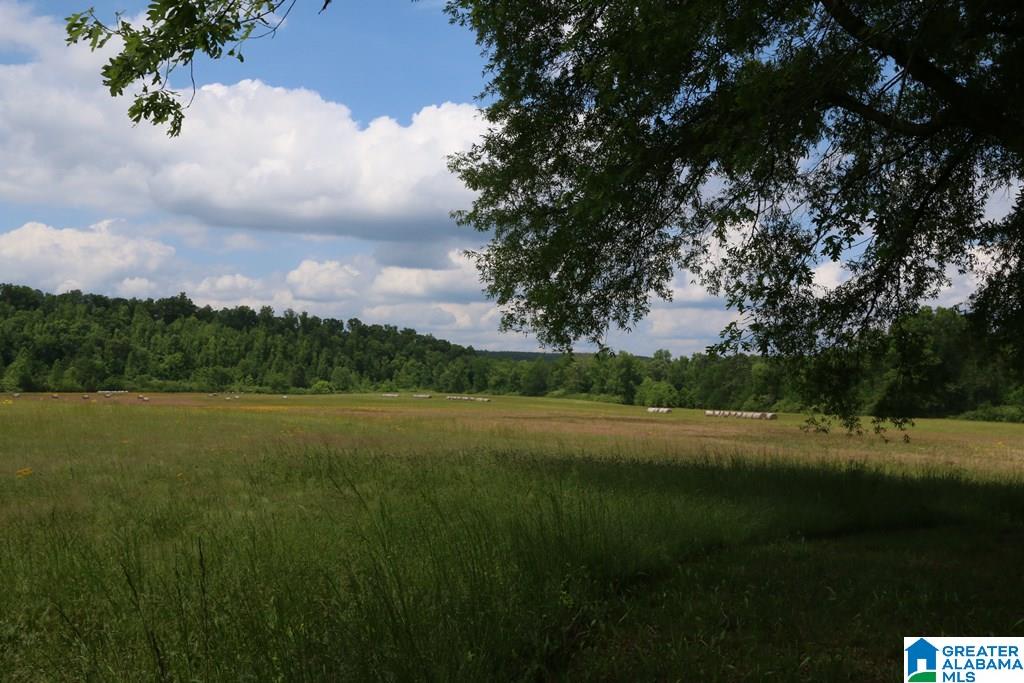 Wolf Creek Road, Unit 79 25 Pell City, AL 35128 - Photo 1 of 14