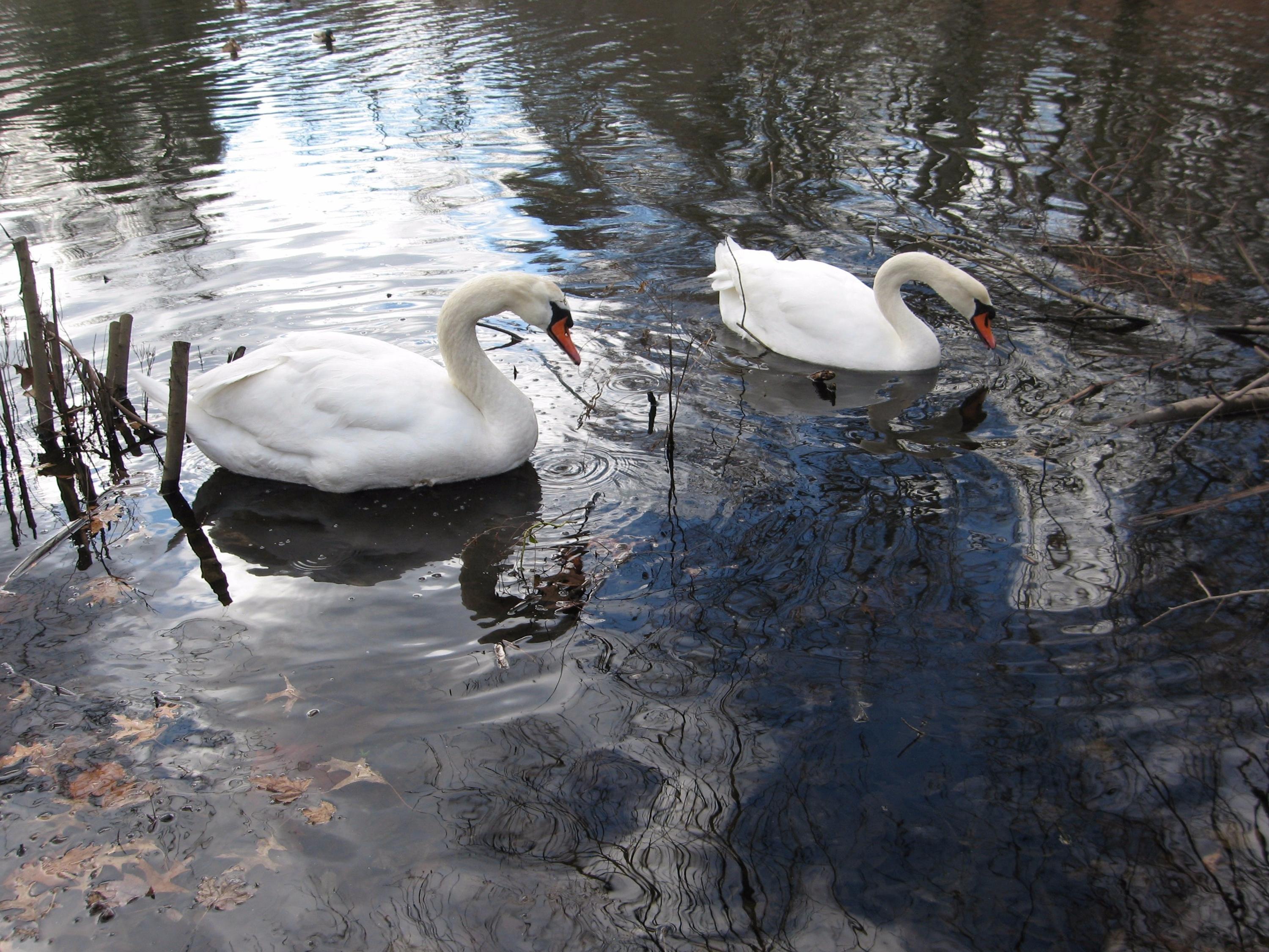 3 Fresh Meadows Lane Darien, CT 06820 - Photo 36 of 39