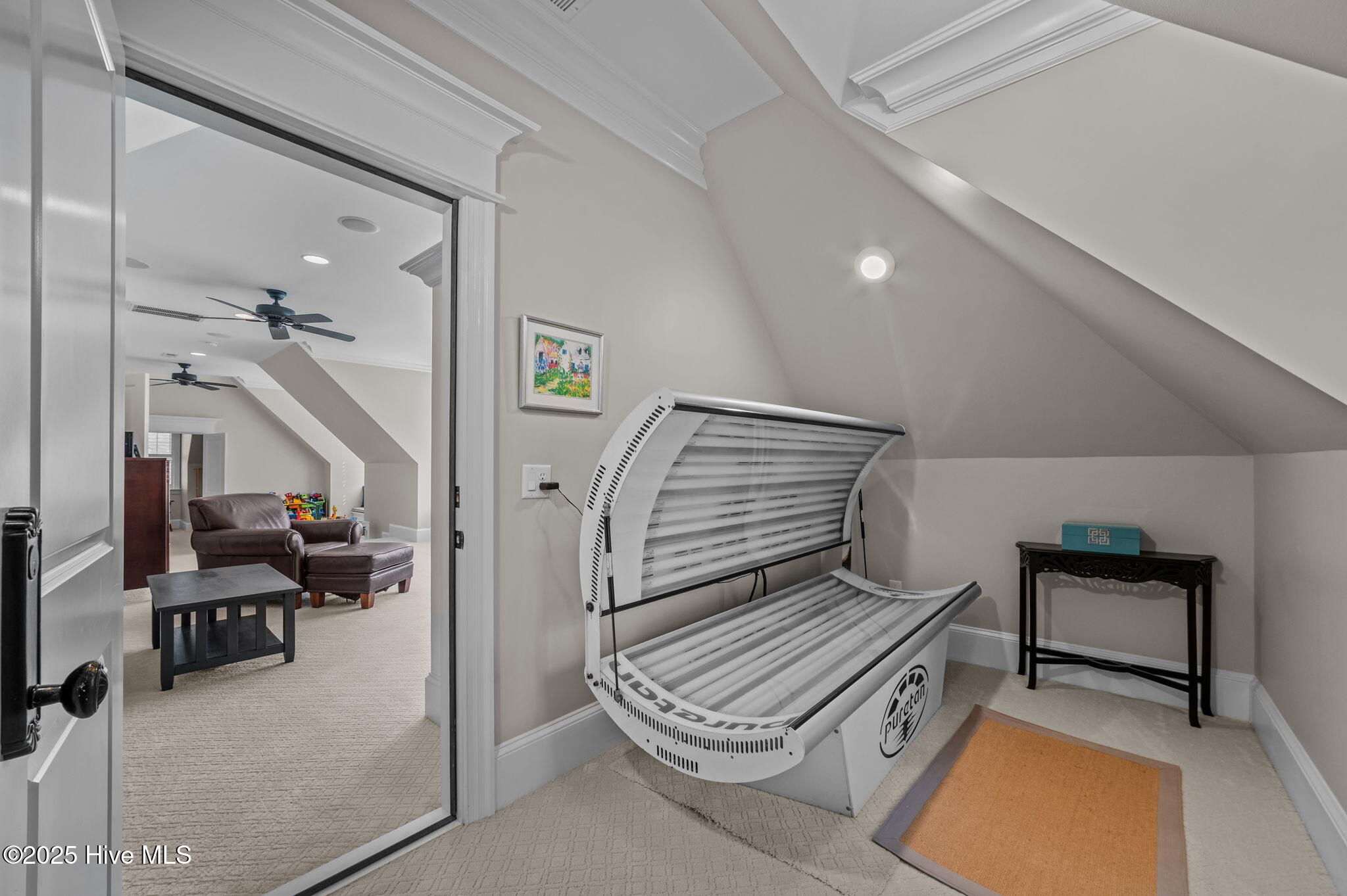 909 Nottingham Road Greenville, NC 27858 - Photo 56 of 70 56-web-or-mls-LHV_9887