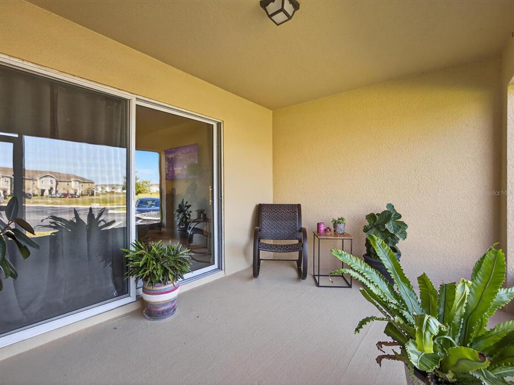 439 Annabelle Way Davenport, FL 33837 - Photo 24 of 31 a potted plant sitting in front of a house