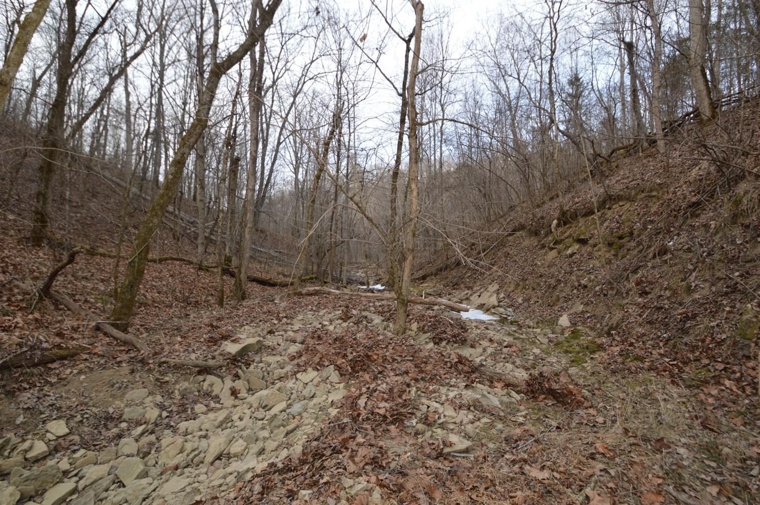 1290 Dennis Road, Unit 3 Lawrenceburg, KY 40342 - Photo 41 of 76 Photo 41