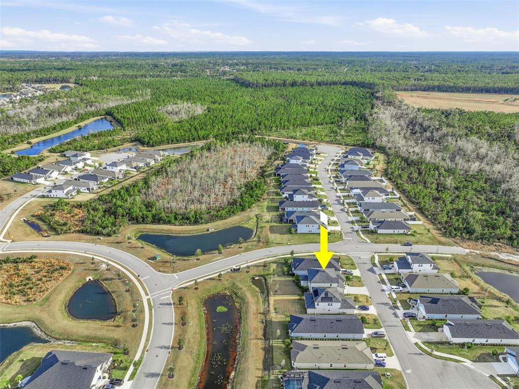 132 Nighthawk Lane Palm Coast, FL 32164 - Photo 81 of 85