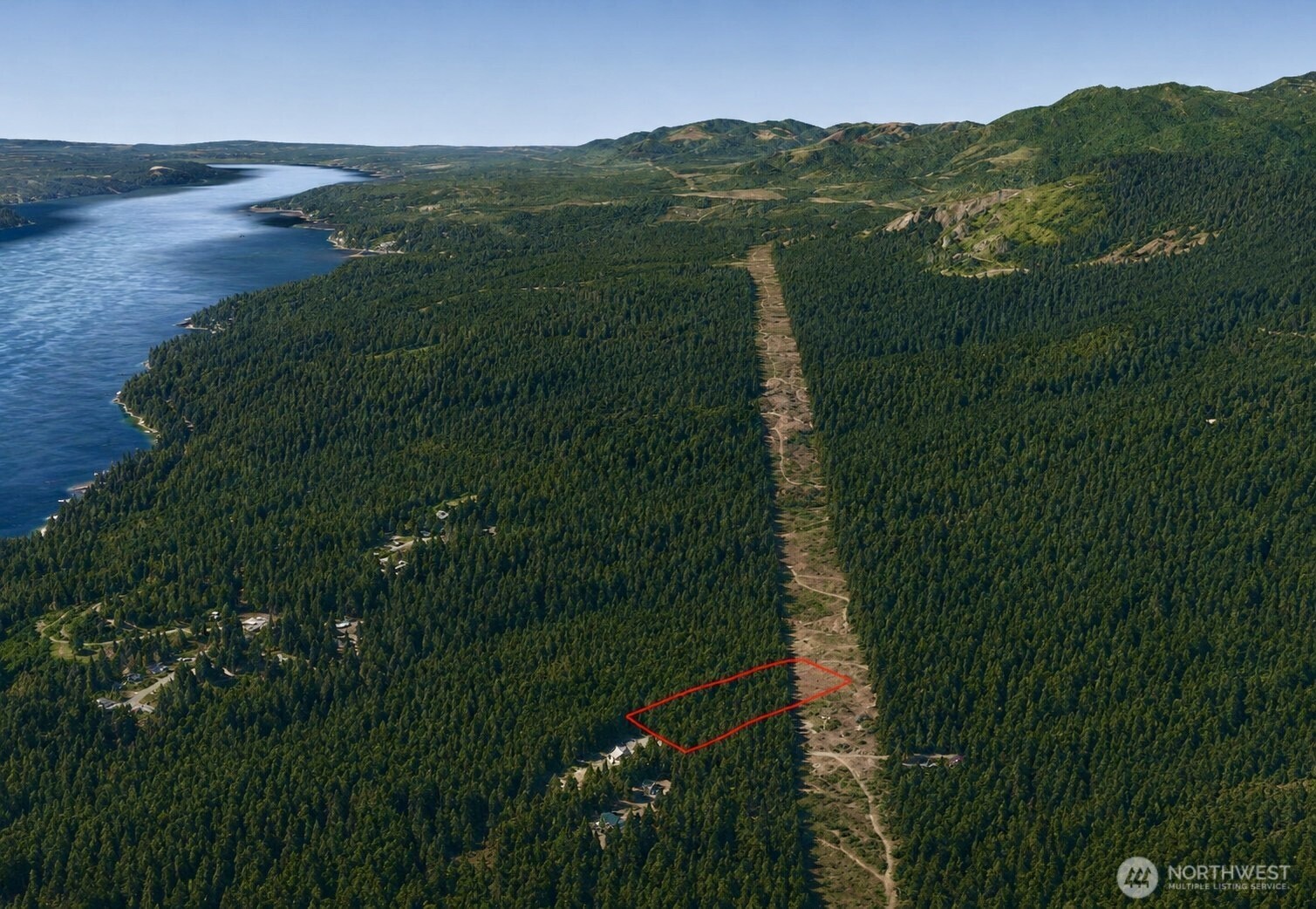 7611 North Triton Heights Road Lilliwaup, WA 98555 - Photo 6 of 35 a view of an lush green forest