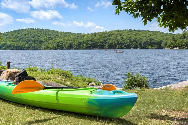a view of a backyard with plants and lake