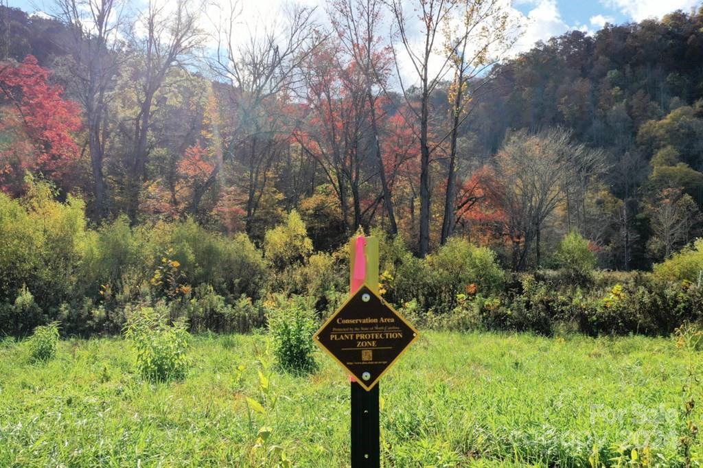 1414 Caney Fork Road Cullowhee, NC 28723 - Photo 11 of 25 Gallery Image 11