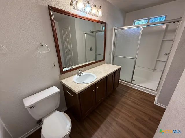 a bathroom with a sink a toilet a mirror and vanity