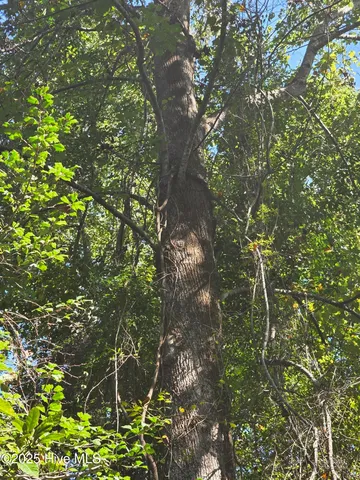 $399,000 | 20 West High Bluff Drive, Hampstead, NC 28443