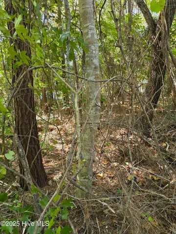 $399,000 | 20 West High Bluff Drive, Hampstead, NC 28443