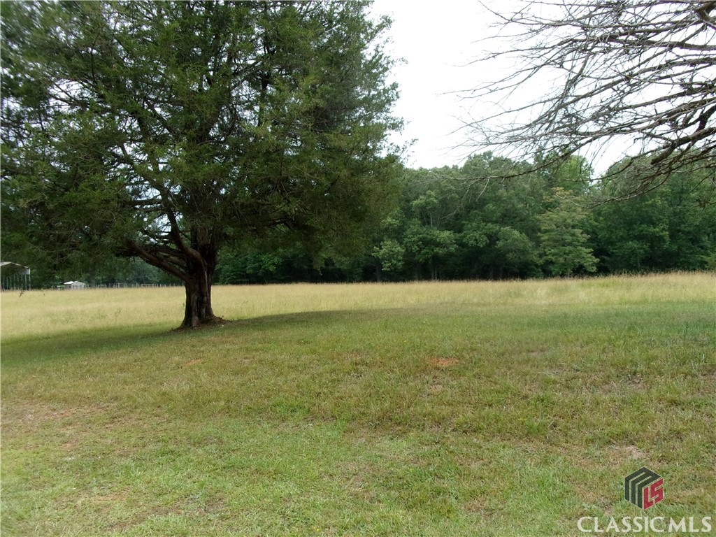 0 Pine Tree Road Danielsville, GA 30633 - Photo 3 of 3