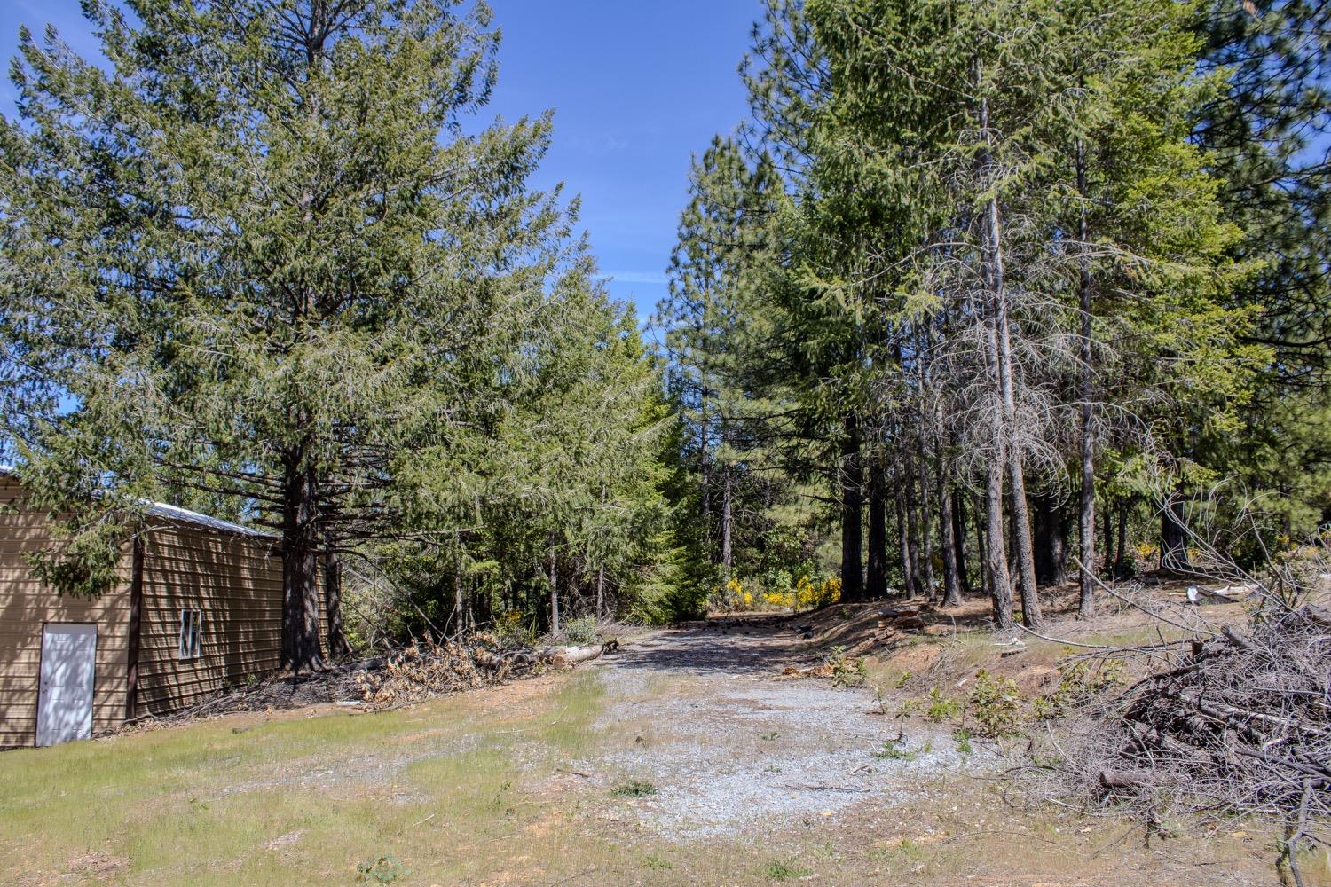 5734 Wilder Road Georgetown, CA 95634 - Photo 47 of 93 Gallery Image 47